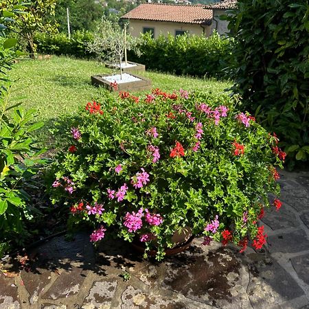 Casa Margherita Celide San Romano in Garfagnana Luaran gambar
